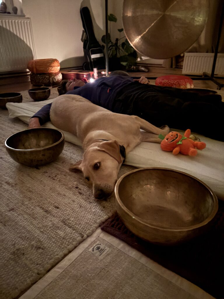 Zvočna kopel za pse — pes mirno počiva ob vibracijah tibetanskih posod